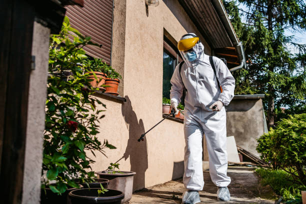 Best Flea Control Services  in St Leon, IN