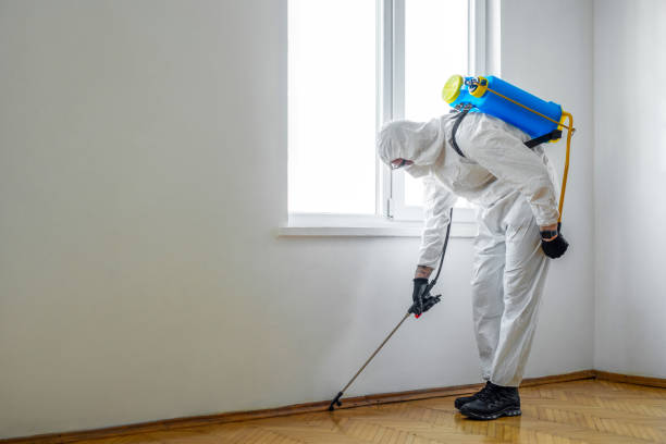 Best Termite Control Services  in St Leon, IN