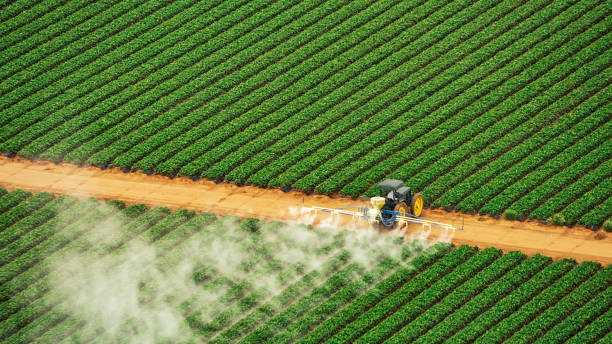 Best Pest Prevention Services  in St Leon, IN