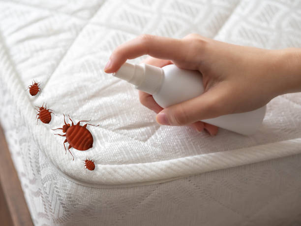 Best Ant Control Services  in St Leon, IN